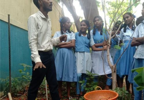 WhatsApp Image 2026-02-25 at 4.43.41 PM