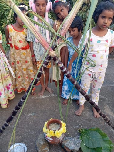 WhatsApp Image 2026-01-17 at 6.00.15 PM