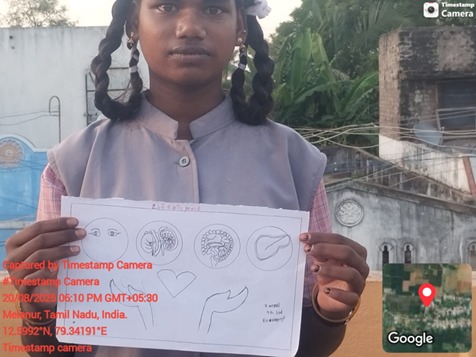 WhatsApp Image 2026-02-05 at 12.29.56 PM